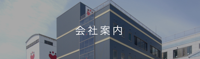 公司介绍